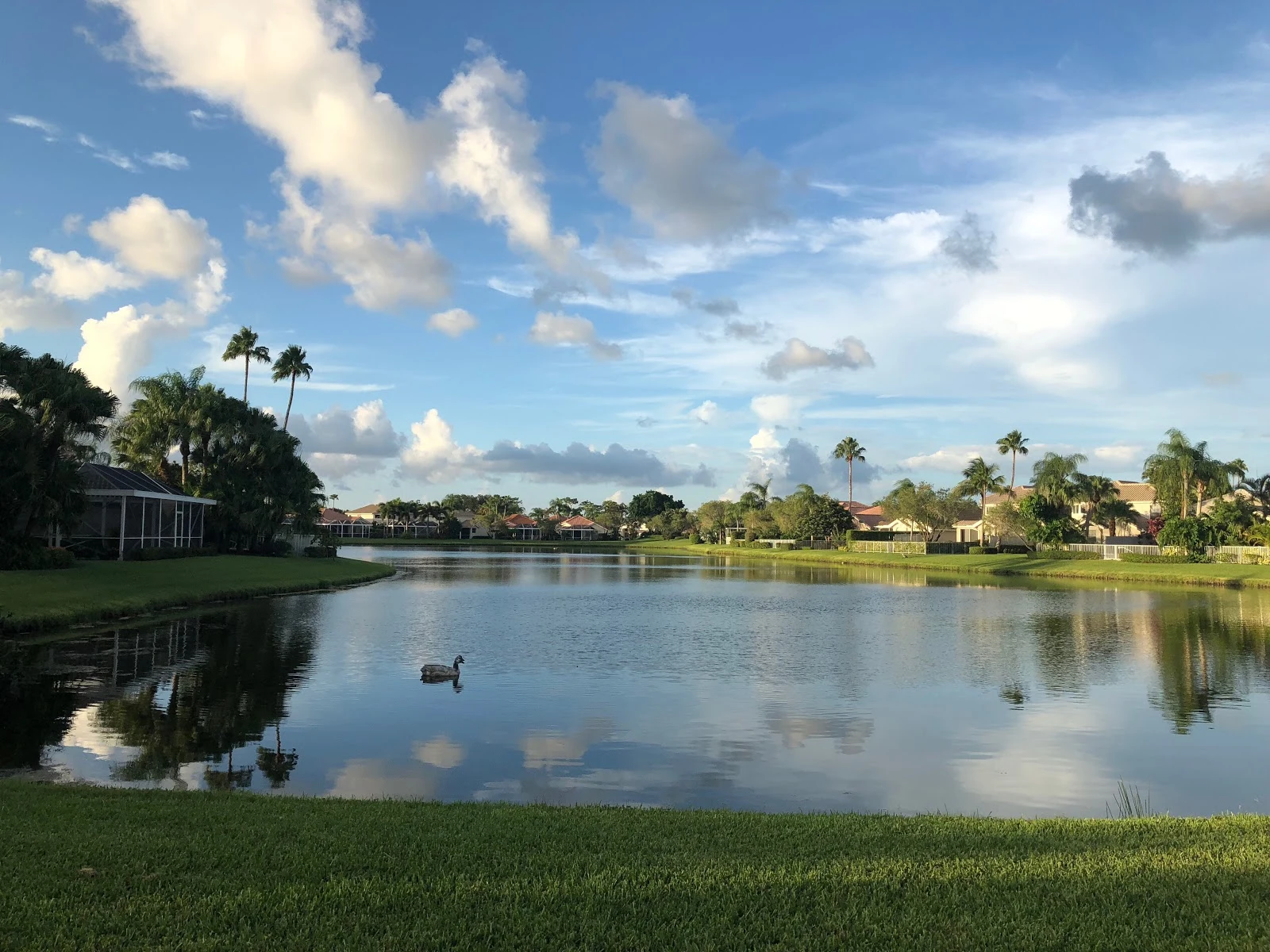 palm city fl homes for sale