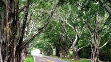 Hobe Sound, FL homes for sale1