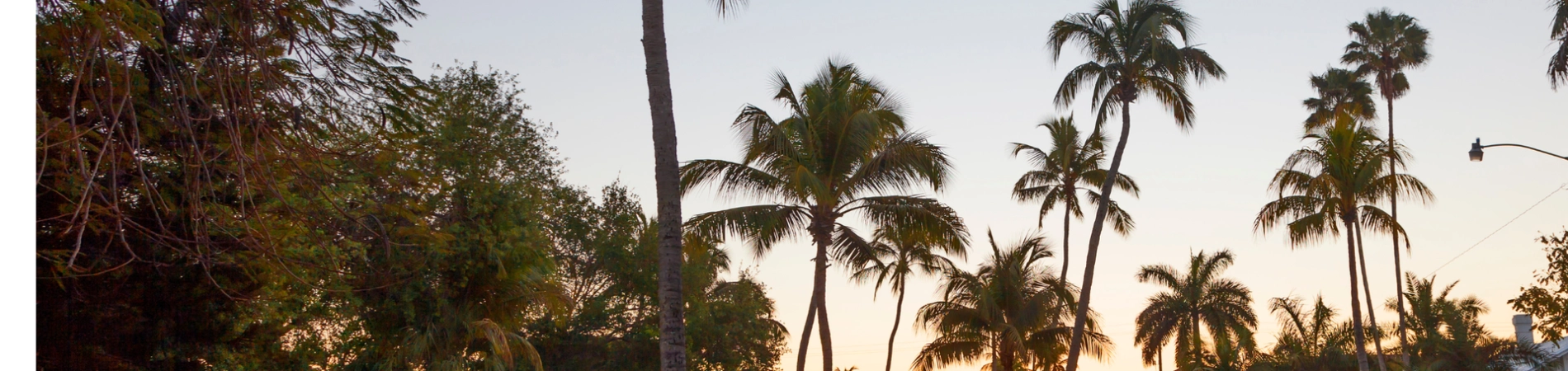 Homes For Sale in Sewall's Point FL